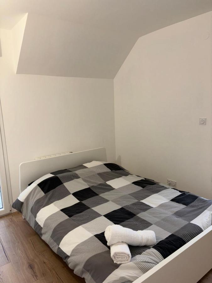 Duplex Neuf Parking Terrasse Lägenhet Mulhouse Exteriör bild