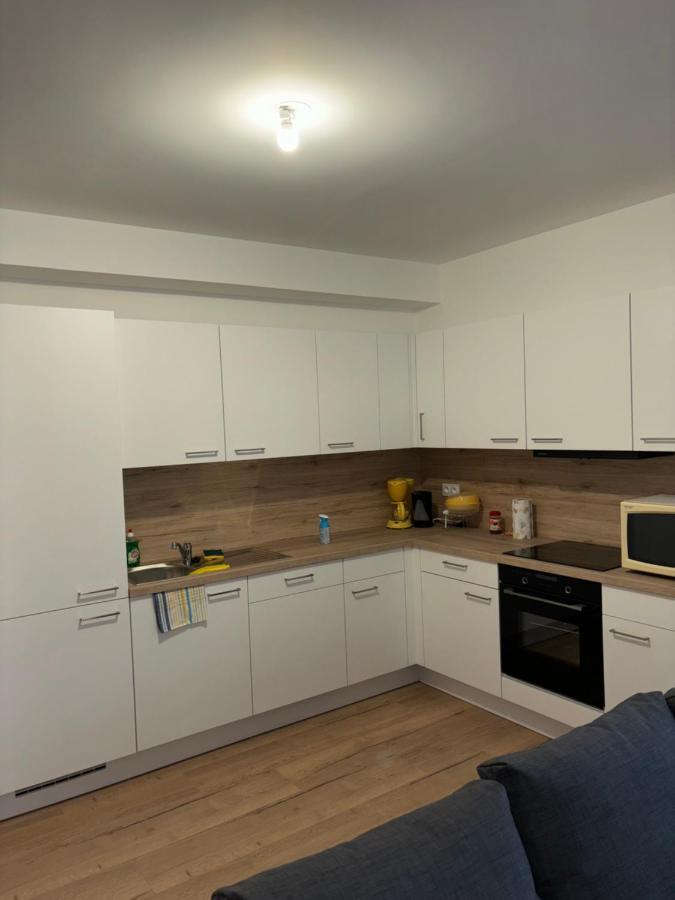 Duplex Neuf Parking Terrasse Lägenhet Mulhouse Exteriör bild